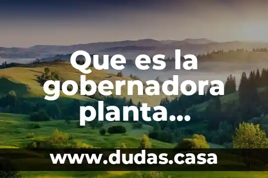 Que es la gobernadora planta medicinal