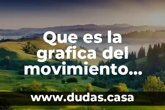 Que es la grafica del movimiento rectilineo