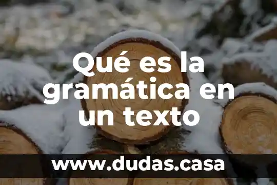 Qué es la gramática en un texto