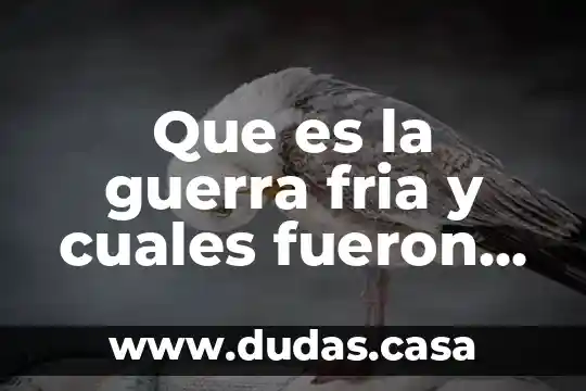 Que es la guerra fria y cuales fueron sus consecuencias