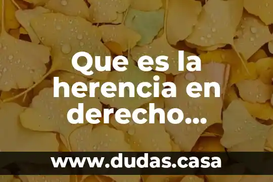 Que es la herencia en derecho familiar
