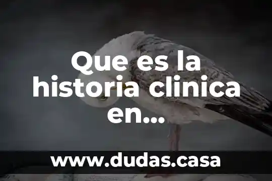 Que es la historia clinica en embarazadas