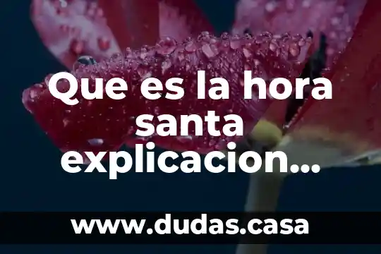 Que es la hora santa explicacion corta para niños