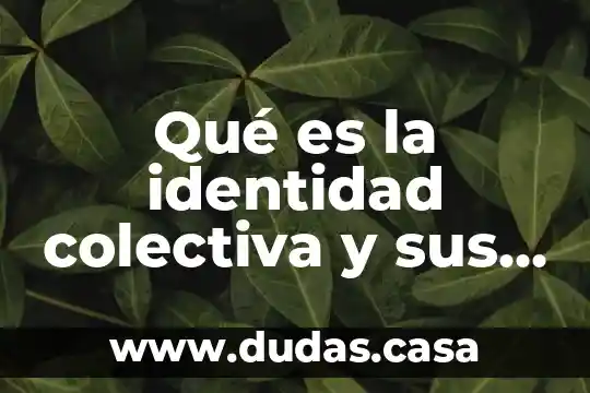 Qué es la identidad colectiva y sus características