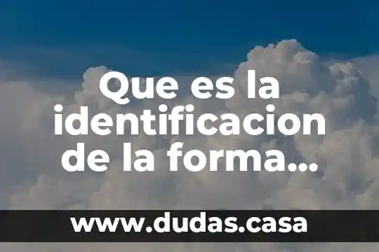 Que es la identificacion de la forma sintetica del texto