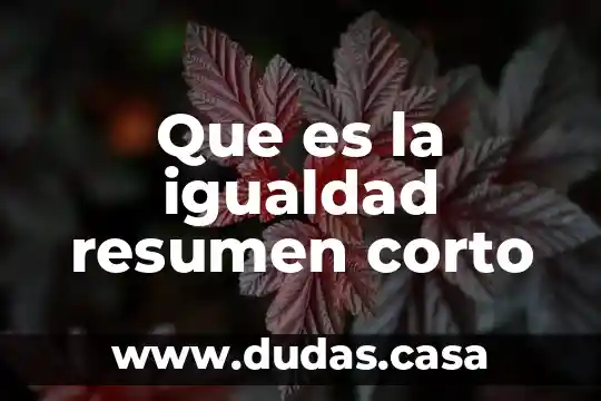 Que es la igualdad resumen corto