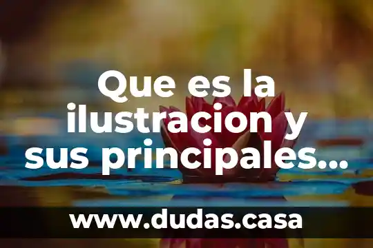 Que es la ilustracion y sus principales caracteristicas