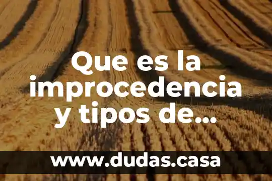 Que es la improcedencia y tipos de improcedencias