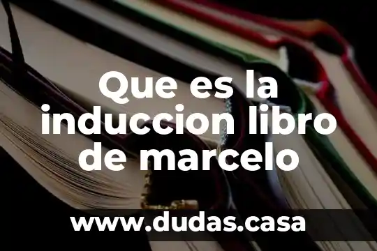 Que es la induccion libro de marcelo