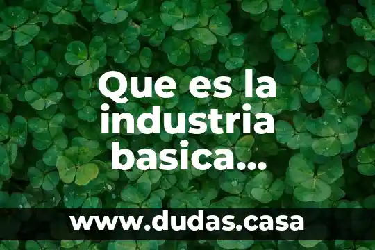 Que es la industria basica ejemplos