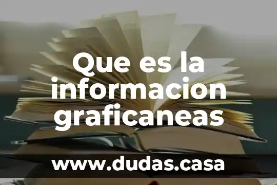 Que es la informacion graficaneas
