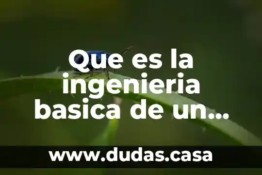 Que es la ingenieria basica de un producto