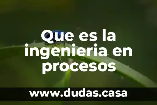 Que es la ingenieria en procesos