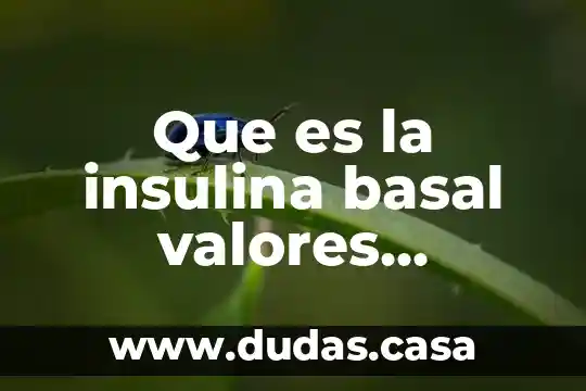 Que es la insulina basal valores normales