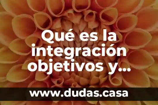 Qué es la integración objetivos y funciones