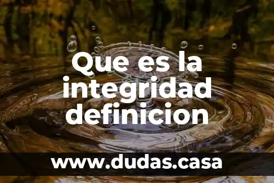 Que es la integridad definicion