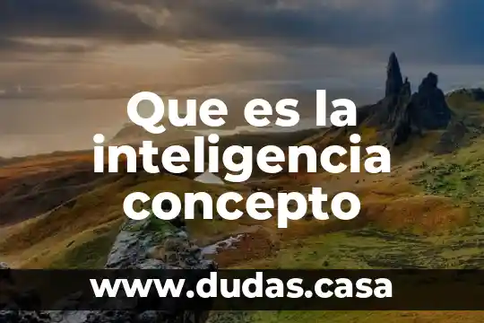 Que es la inteligencia concepto
