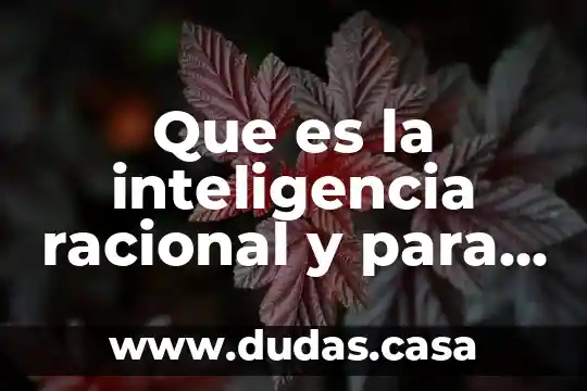Que es la inteligencia racional y para que sirve