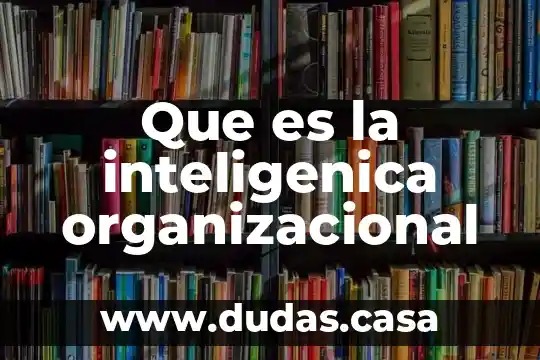 Que es la inteligenica organizacional