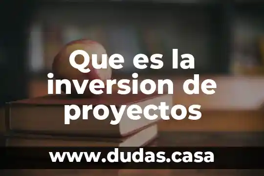 Que es la inversion de proyectos