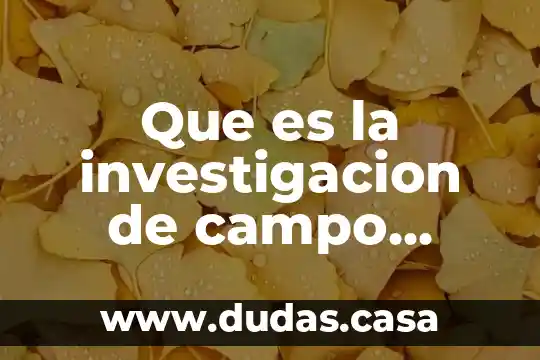 Que es la investigacion de campo metodologia de la investigacion