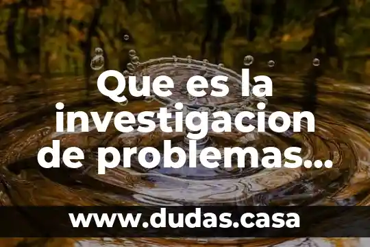 Que es la investigacion de problemas relativos