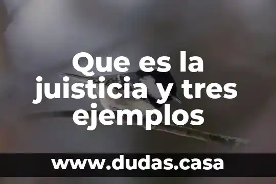 Que es la juisticia y tres ejemplos