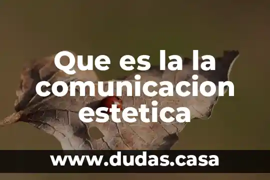Que es la la comunicacion estetica
