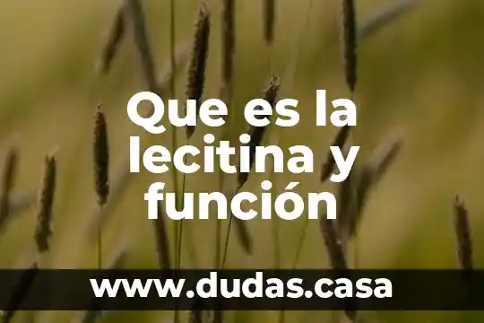 Que es la lecitina y función