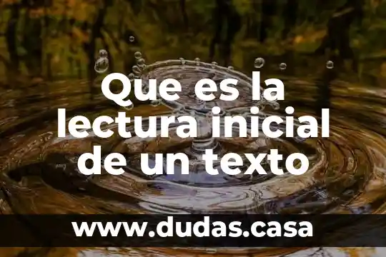 Que es la lectura inicial de un texto