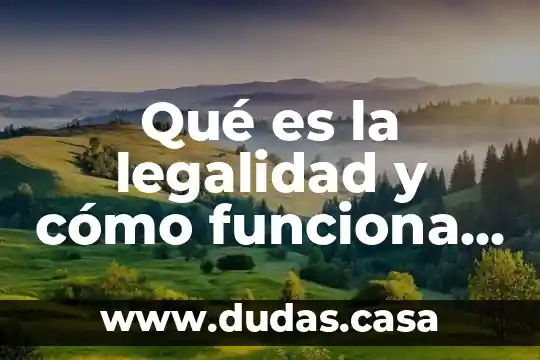 Qué es la legalidad y cómo funciona en nuestro país