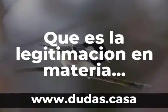 Que es la legitimacion en materia mercantil