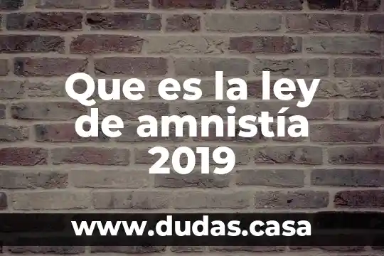 Que es la ley de amnistía 2019