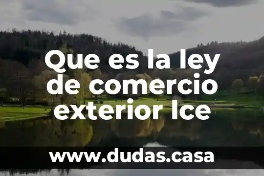 Que es la ley de comercio exterior lce