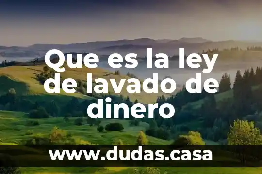 Que es la ley de lavado de dinero