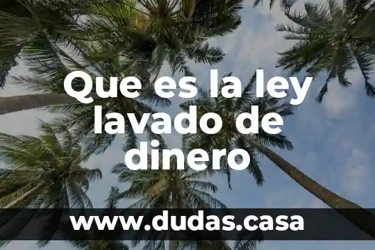 Que es la ley lavado de dinero