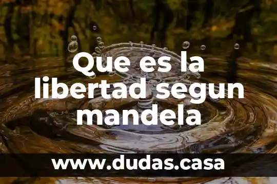 Que es la libertad segun mandela