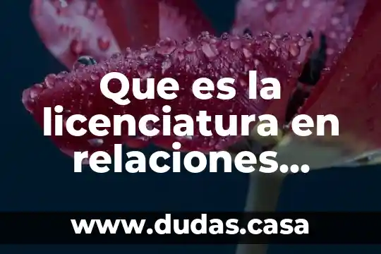 Que es la licenciatura en relaciones comerciales