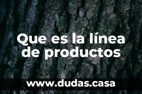 Que es la línea de productos