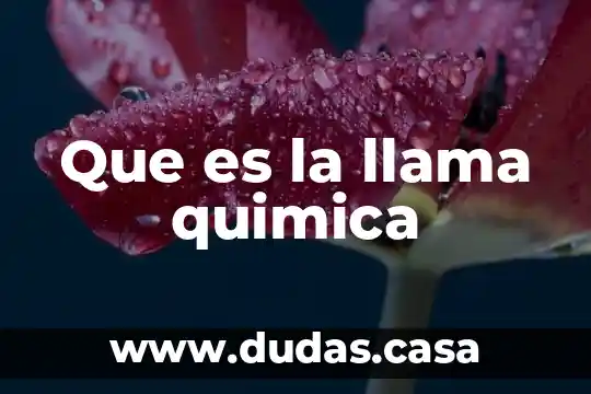 Que es la llama quimica