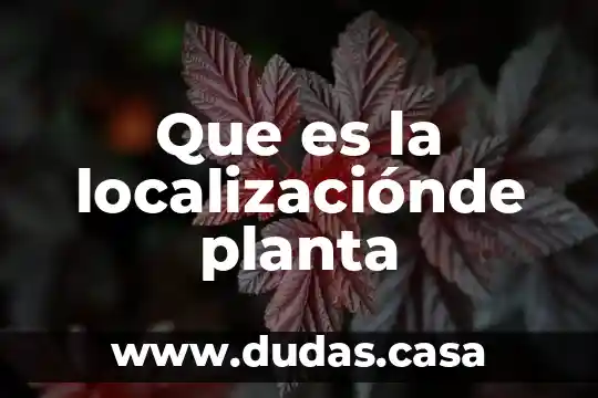 Que es la localizaciónde planta