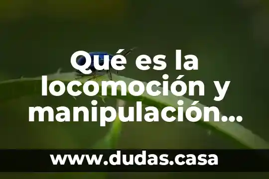 Qué es la locomoción y manipulación en el ser humano