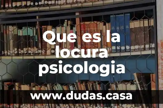 Que es la locura psicologia
