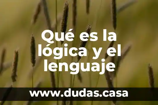 Qué es la lógica y el lenguaje
