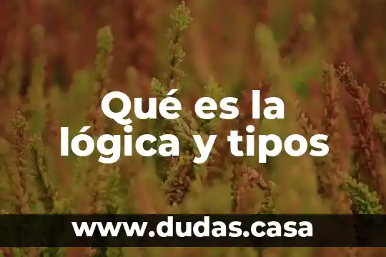 Qué es la lógica y tipos