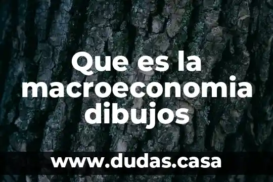 Que es la macroeconomia dibujos