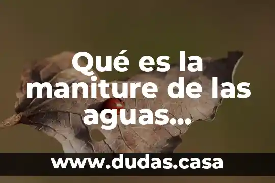 Qué es la maniture de las aguas residuales