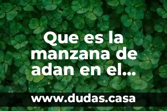 Que es la manzana de adan en el cuerpo humano
