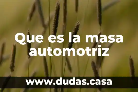 Que es la masa automotriz