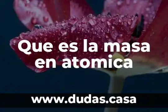 Que es la masa en atomica
